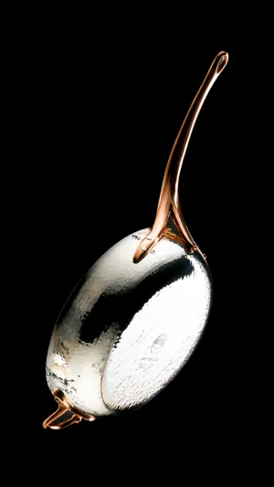GAST Series  Pure Solid Silver Sauté Pan
